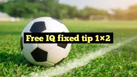 Free IQ fixed tip 1×2