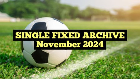 SINGLE FIXED ARCHIVE November 2024